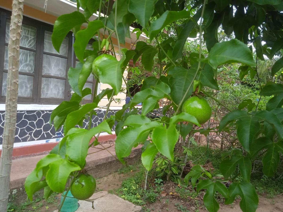 טנגלה Sanaya Homestay מראה חיצוני תמונה